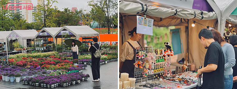 기존에 운영되던 ‘팝업 정원, 정원마켓’도 연장되며, 가을 국화전시와 꽃차 시음행사가 추가된다.