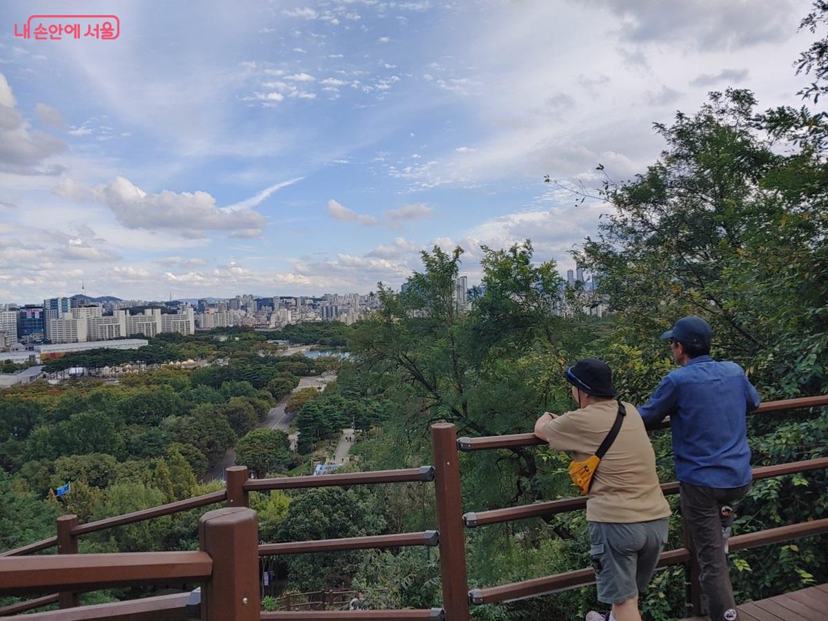 하늘계단에서 담은 하늘공원 인생샷 ©김병규