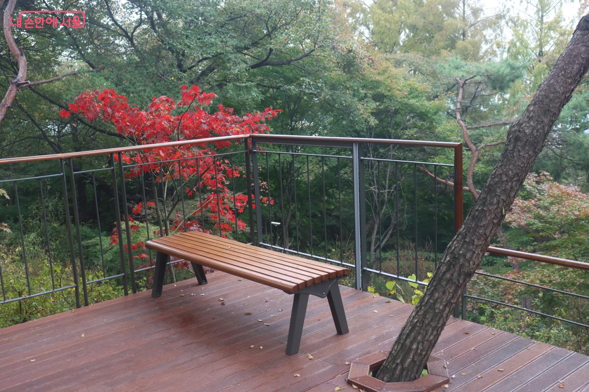 곳곳에 설치된 벤치들 ©조송연
