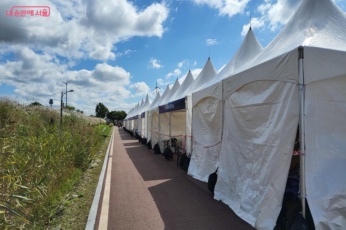 억새꽃다발 만들기, 원데이 가든 드로잉 등 다양한 체험이 진행될 체험존 ©권수진