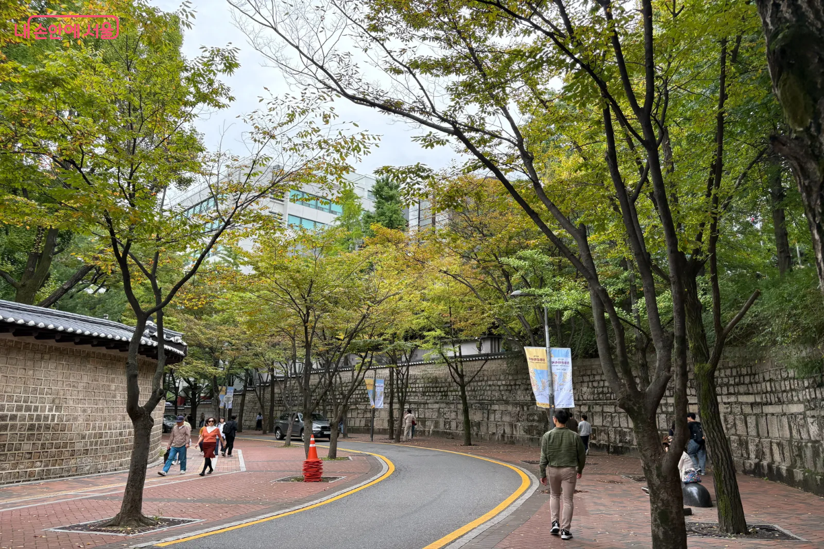 덕수궁 돌담길과 은행나무의 모습 ©이혜린