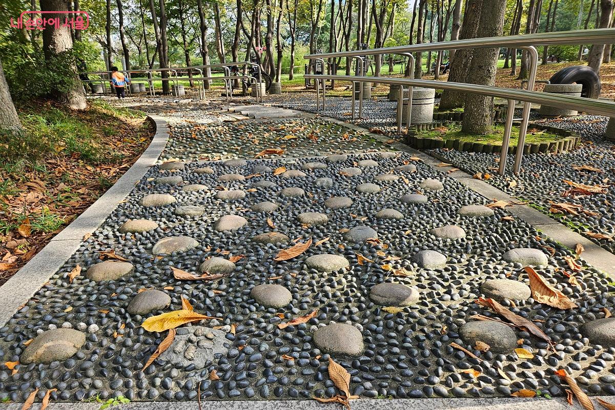 숲 내에는 맨발로 걸어 다닐 수 있는 지압로가 조성돼 있다. ©김진호