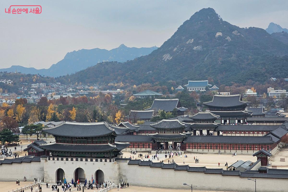 대한민국역사박물관 옥상에서 바라본 경복궁 전경 ©권연주