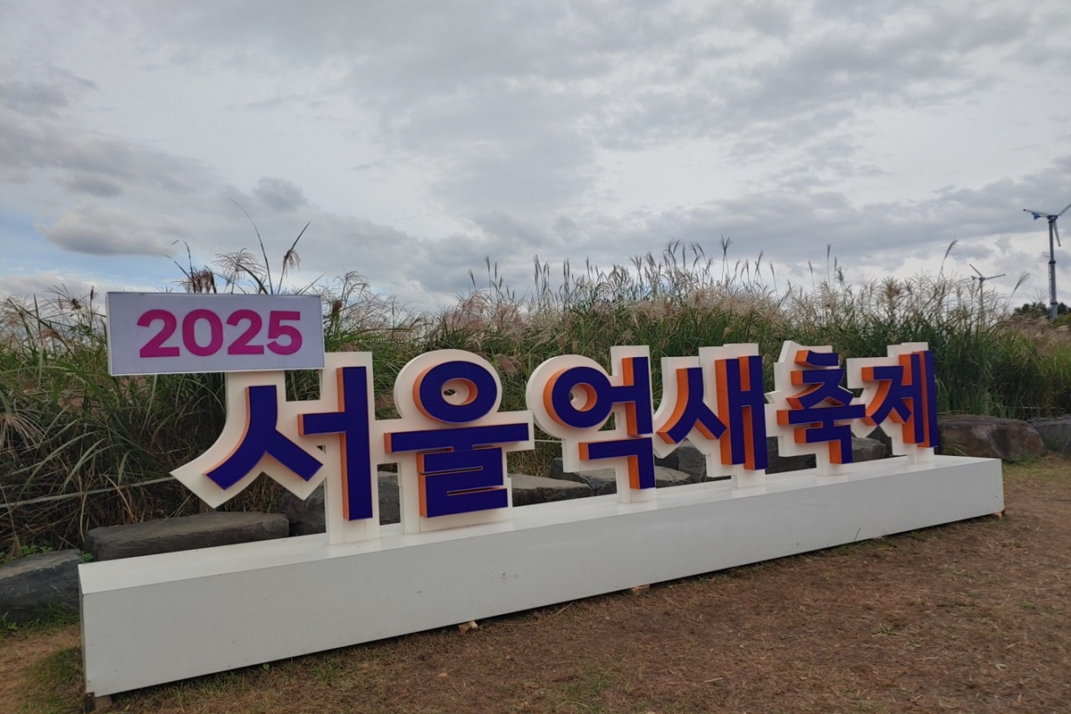 하늘공원 '서울억새축제 억새밭' 인생샷 명소는 바로 여기