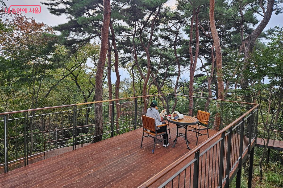 소나무 아래 테이블과 의자를 놓아 쉼터를 만들어 놓았다. ©이선미