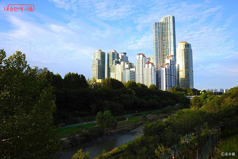 옥상전망대에서 본 양재천 일대 전경