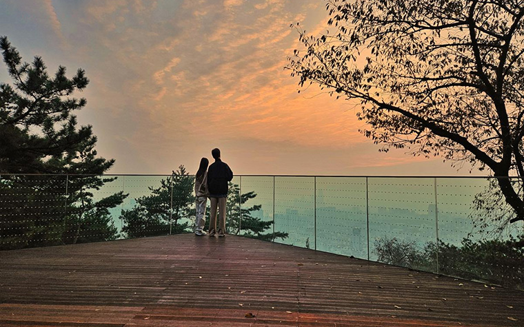 가을 남산, 새로 열린 &#39;하늘숲길&#39;로 걸어요! (ft. 노을전망대)