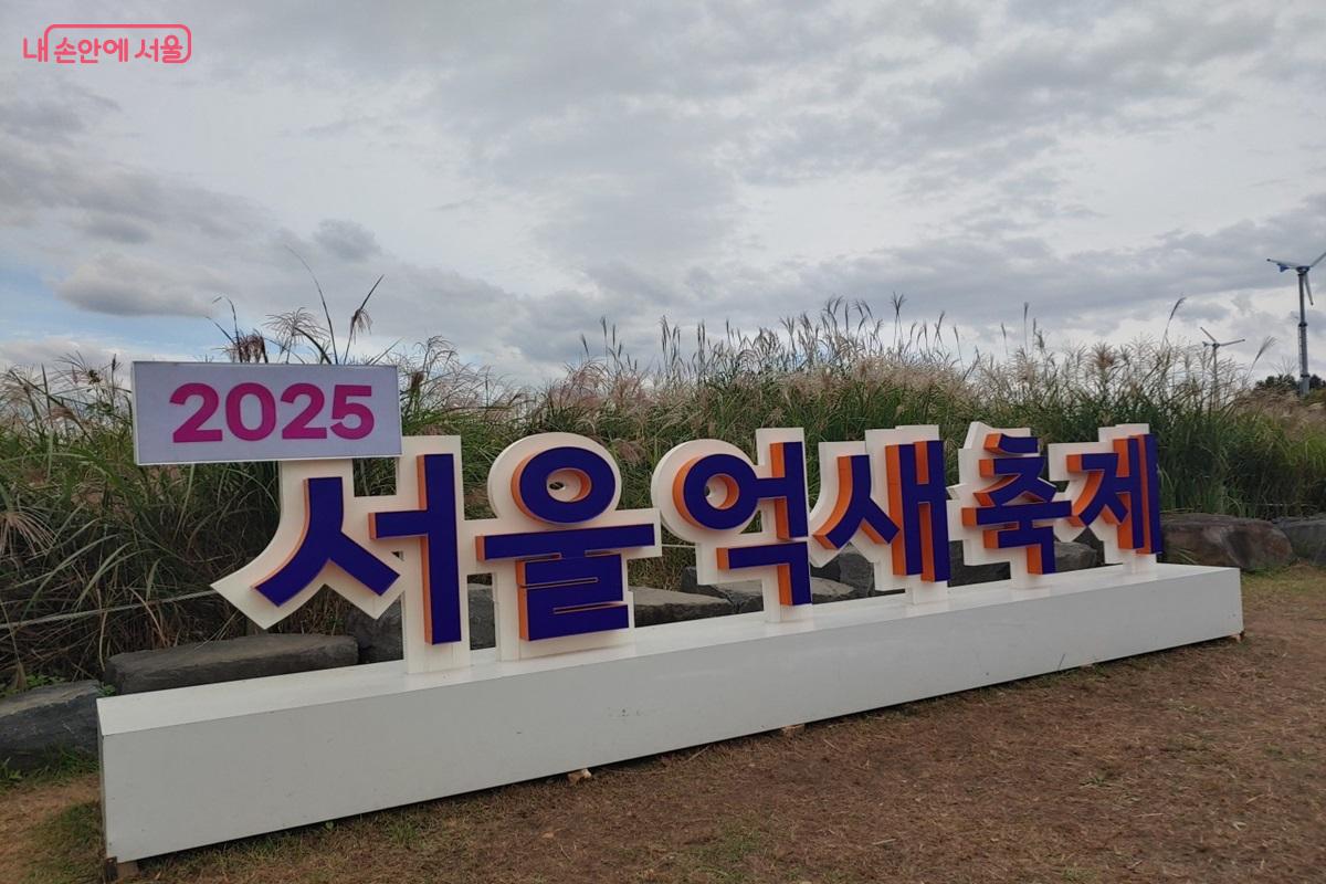 제 24회 서울억새축제가 10월 18일부터 7일간, 월드컵공원 하늘공원 일대에서 열린다. ©김병규