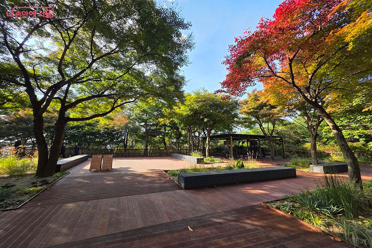 체력단련실에서 운동하고 산책과 담소도 나누는 '건강정원' ©이정민