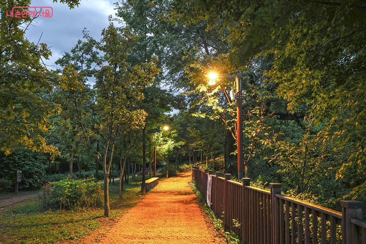 첫 번째 전망대에서 뒤로 보이는 멍석 깔린 산책로 ©김주연