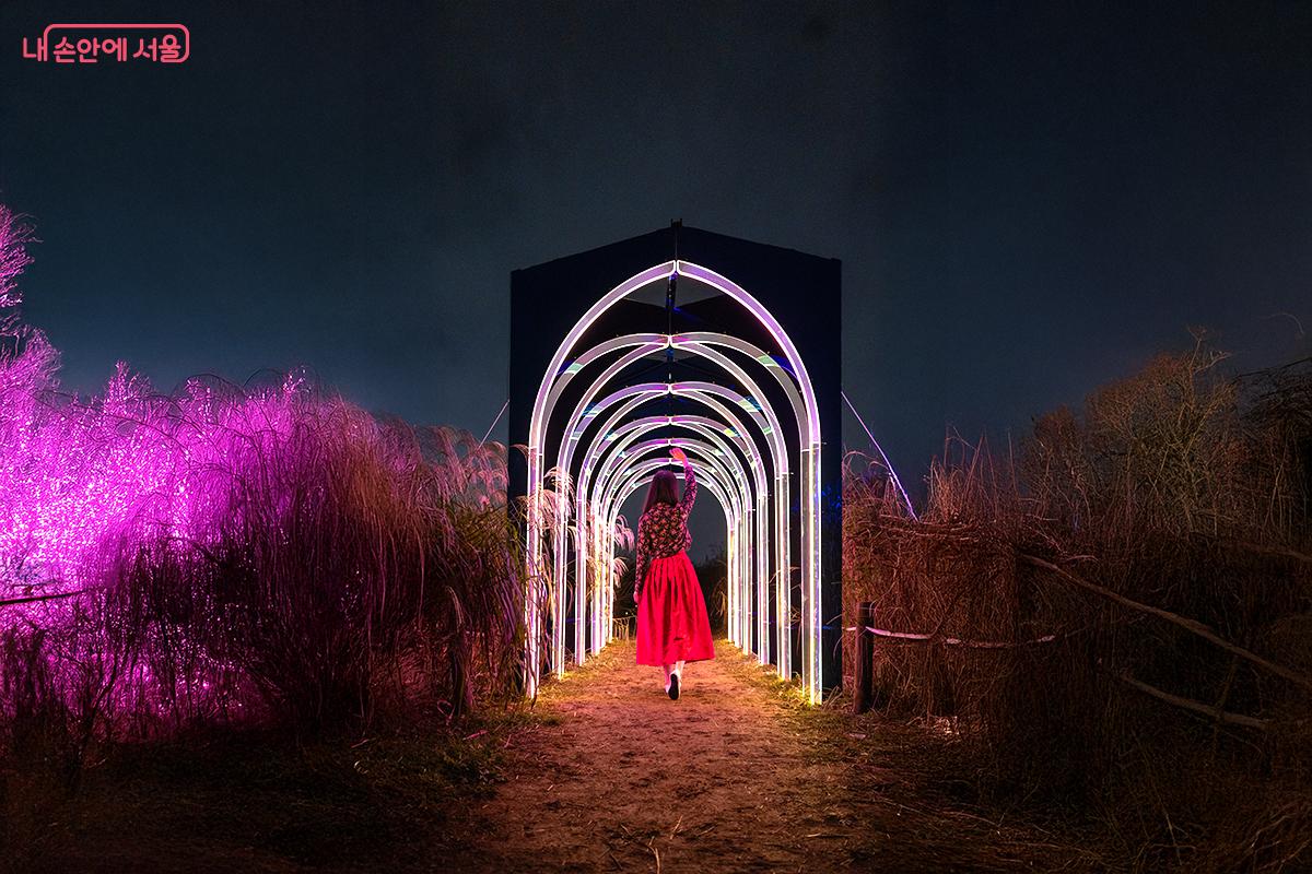LED 조명으로 장식된 아치형 통로를 시민이 지나가며 억새밭 속에서 또 다른 빛의 길을 만난다. ⓒ장신자
