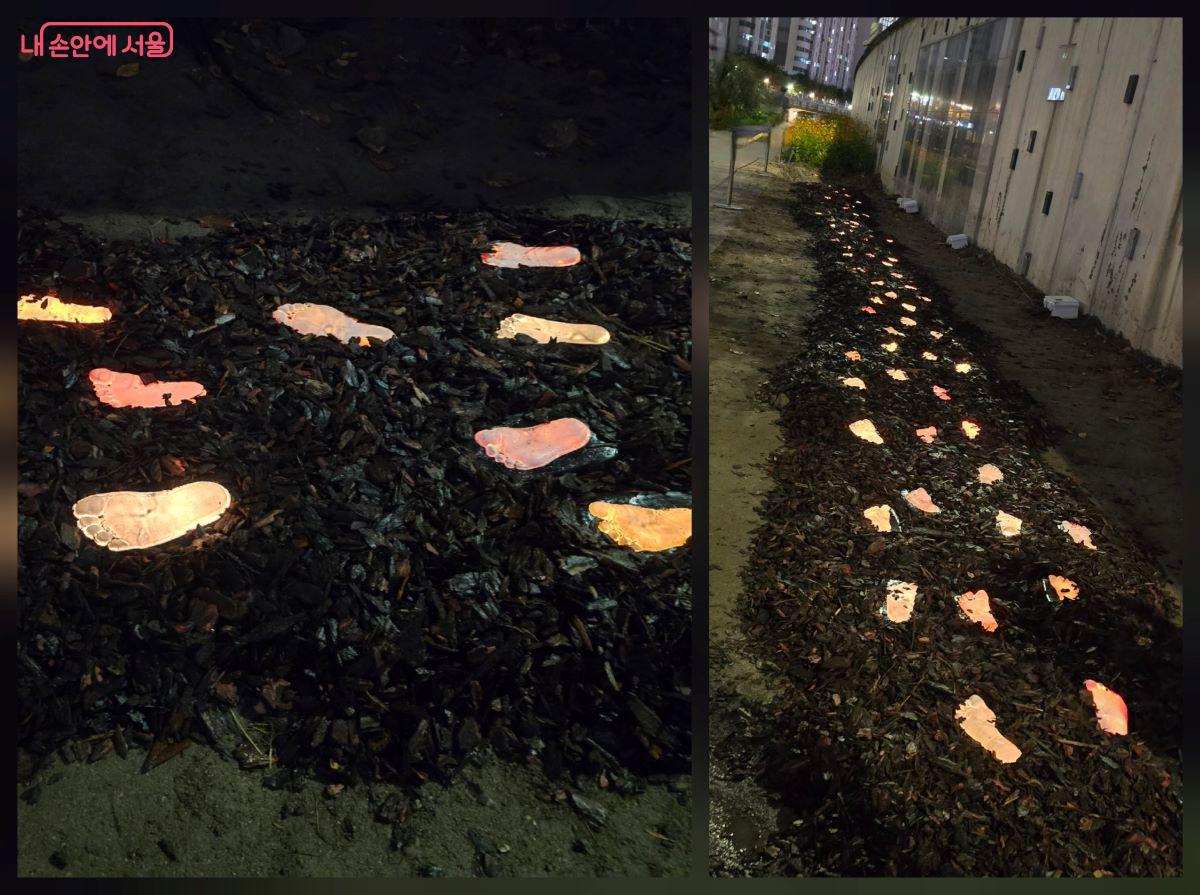 정동균x성지현 작가의 시민참여형 작품 <발빛> ©김한기