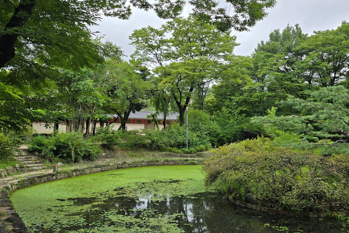 고궁 산책하기 딱 좋은 요즘! 특별 관람권으로 알뜰하게~
