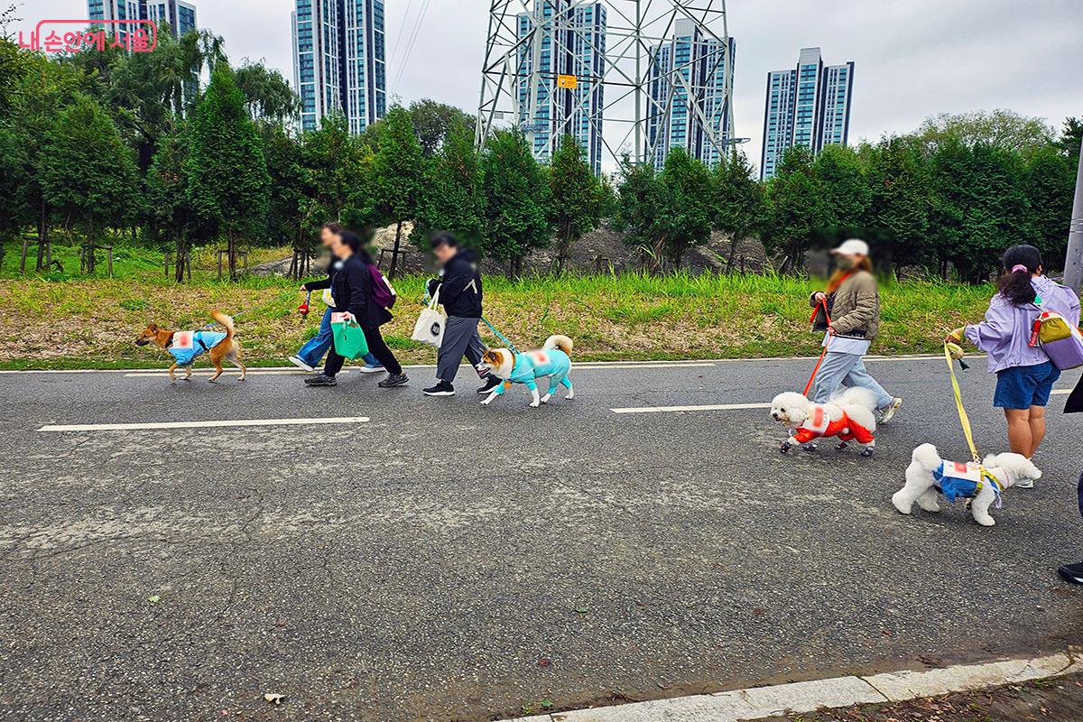 천천히 강아지와 함께 발맞춰 걷는 참가자들 &copy;이정민