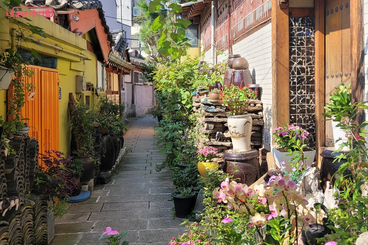 경복궁 옆 창성동에 있는 작은 골목 미로미로 ©박미선