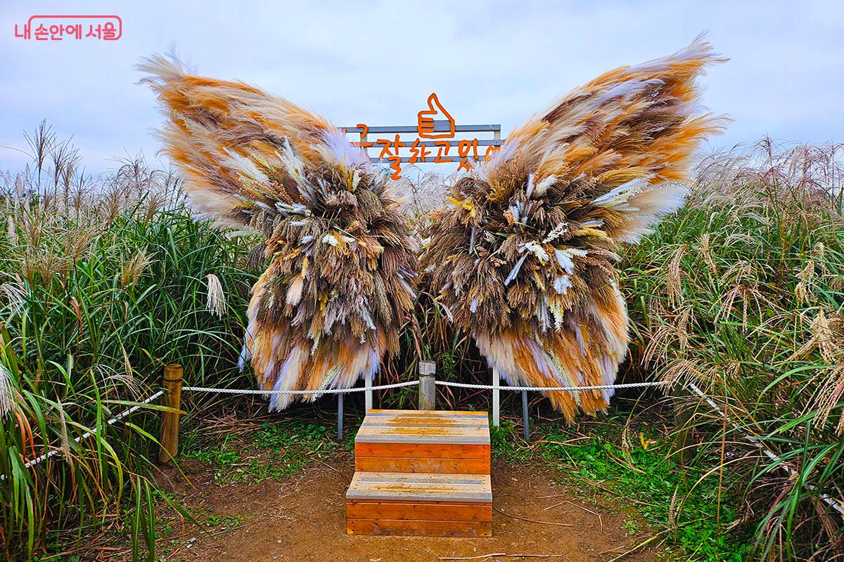 억새날개 포토존 ©이정민