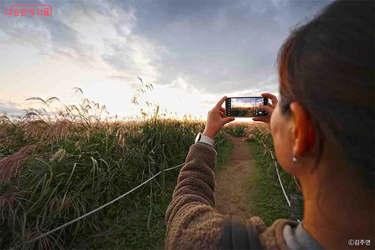 축제장 곳곳에 총 16개 포토존이 마련되어 관람객에게 다채로운 촬영장소를 제공한다. 
