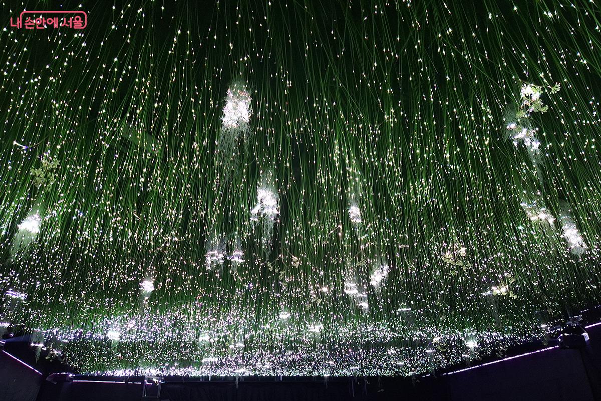 툰드라(TUNDRA)의 <우리가 초원을 떠난 날>은 레이저와 사운드의 완벽한 결합으로 가슴뛰는 경험을 선사한다.