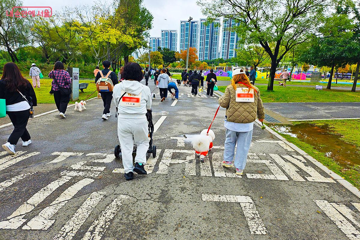 동행런에 참여하고 있는 강아지와 가족들 &copy;이정민