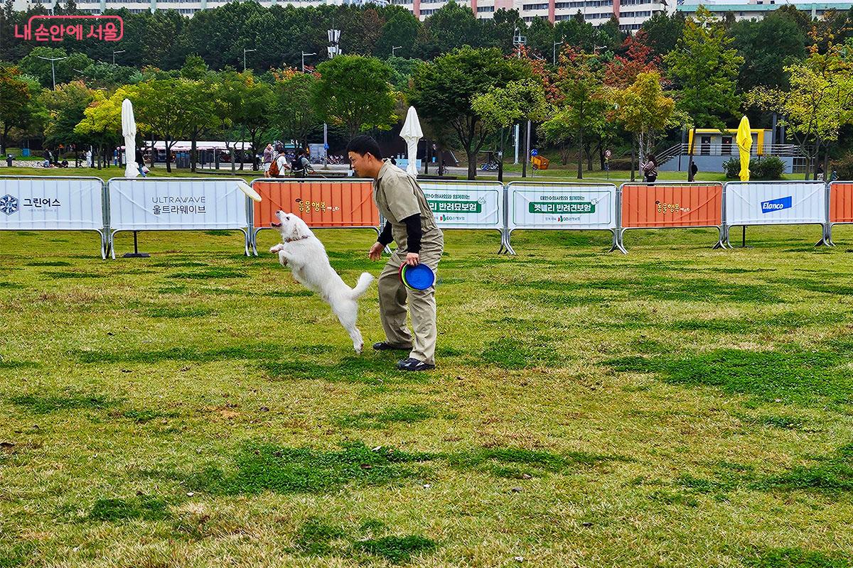 강아지와 함께 하는 어질리티 공연 &copy;이정민