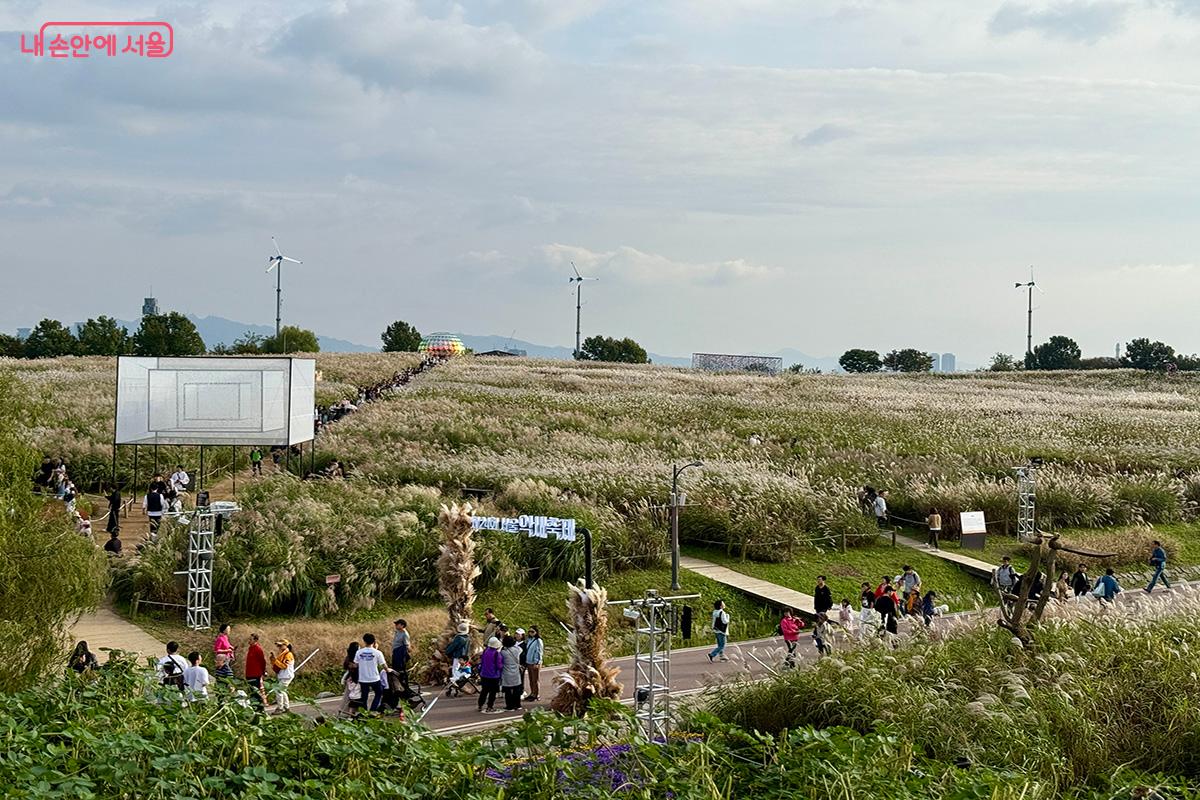억새축제장의 시작점인 '하늘억새문'을 지나는 사람들 ©김미정