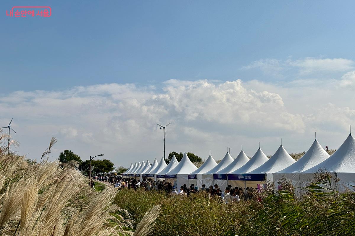 15개의 특별한 프로그램이 진행되는 '체험존' ©김미정