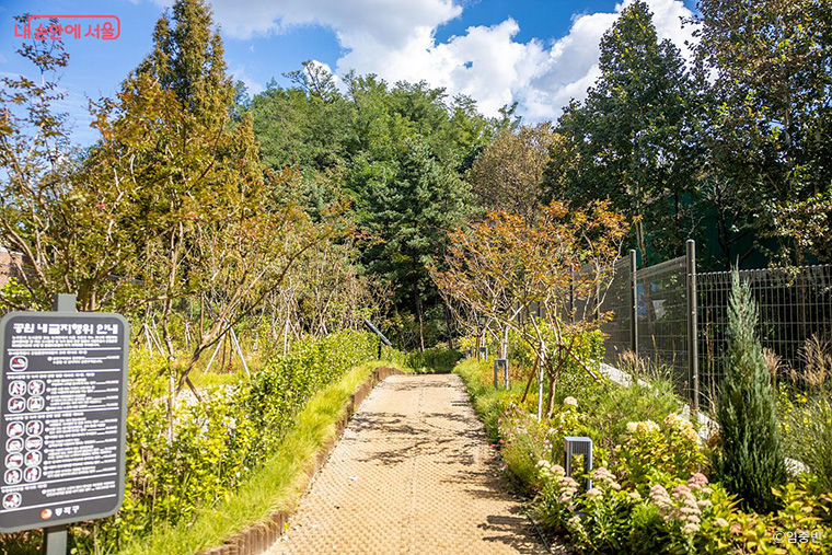 국사봉 녹지연결로는 시민을 위한 산책로와 동물의 이동 통로가 분리되어 있다.
