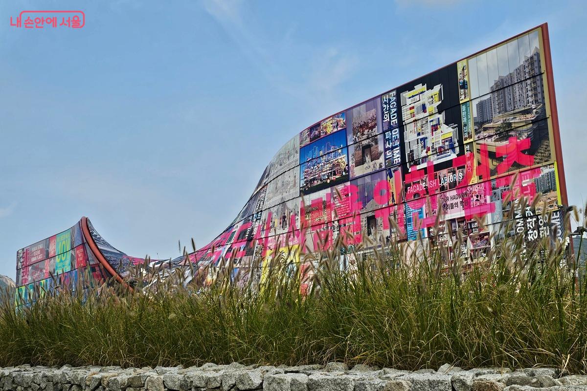 억새와 어우리진 거대한 띠 형태의 휴머나이즈 윌 ©권연주