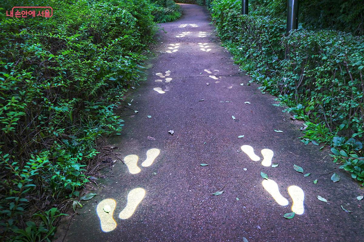 아이디어가 돋보이는 발자국 조명 ©김주연