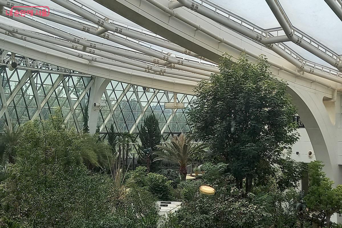 서울식물원 온실 내부 ©박유진