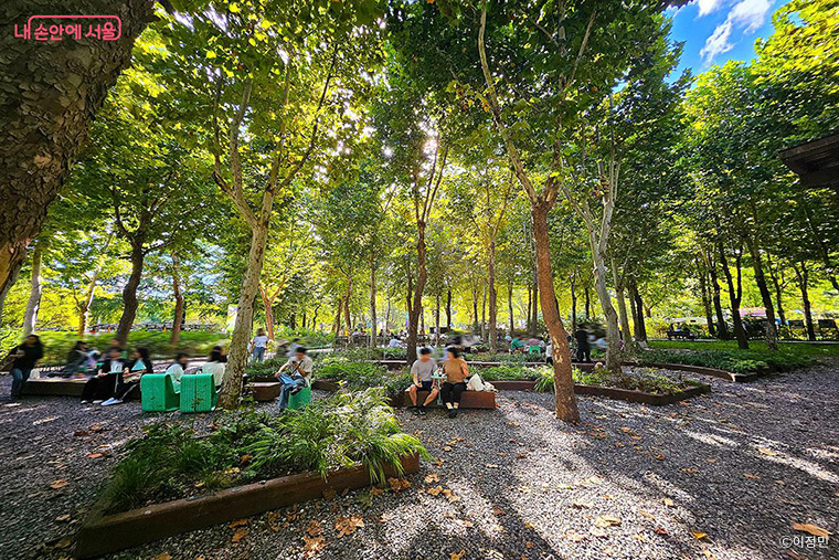 개막 후 꾸준한 시민들의 호응이 이어져, 10월 14일 기준 누적 929만 명이 다녀갔다.