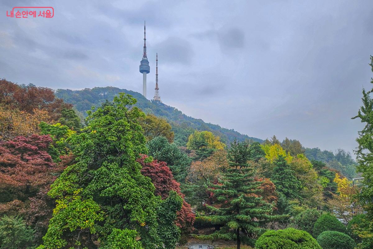 남산도서관 하늘뜰에서 바라본 남산 정경 ©이선미