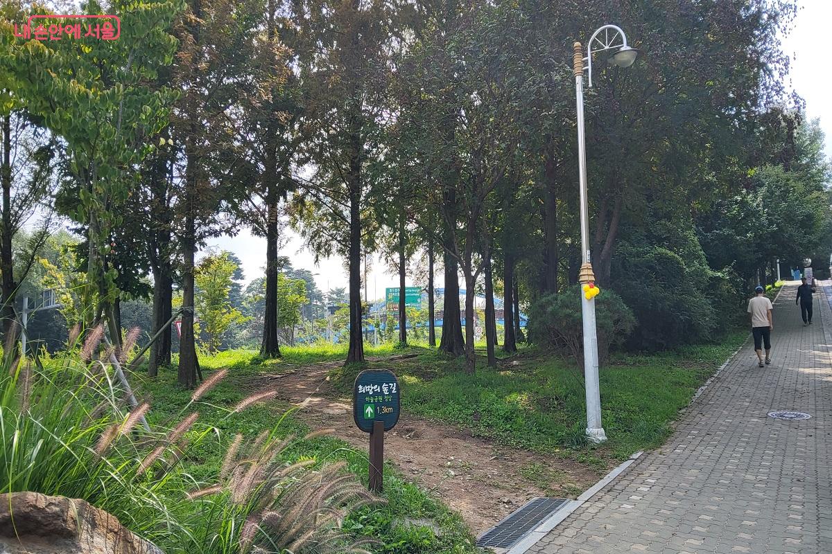 맹꽁이전기차 매표소를 지나 가로등에서 왼쪽으로 보이는 희망의 숲 이정표 ©권수진