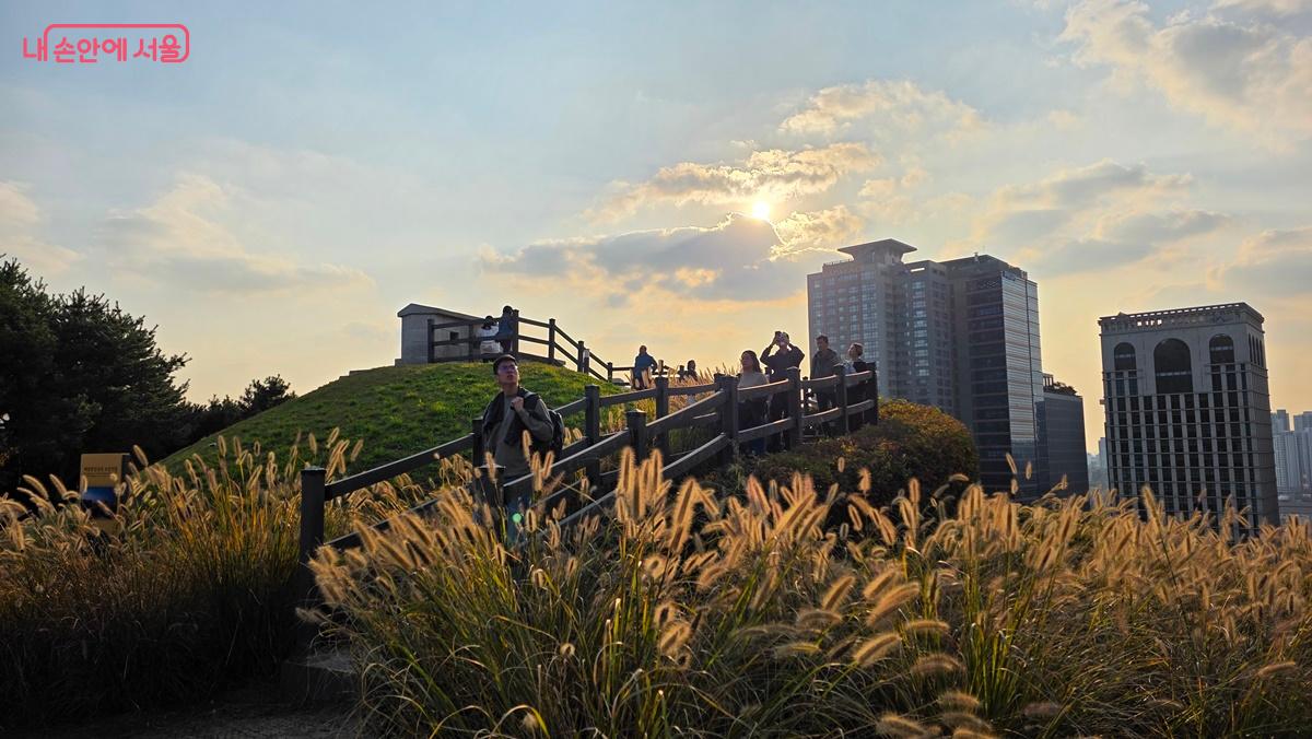 지금 남산공원으로 가면 가을을 느끼기에 최적기이다. ©최용수