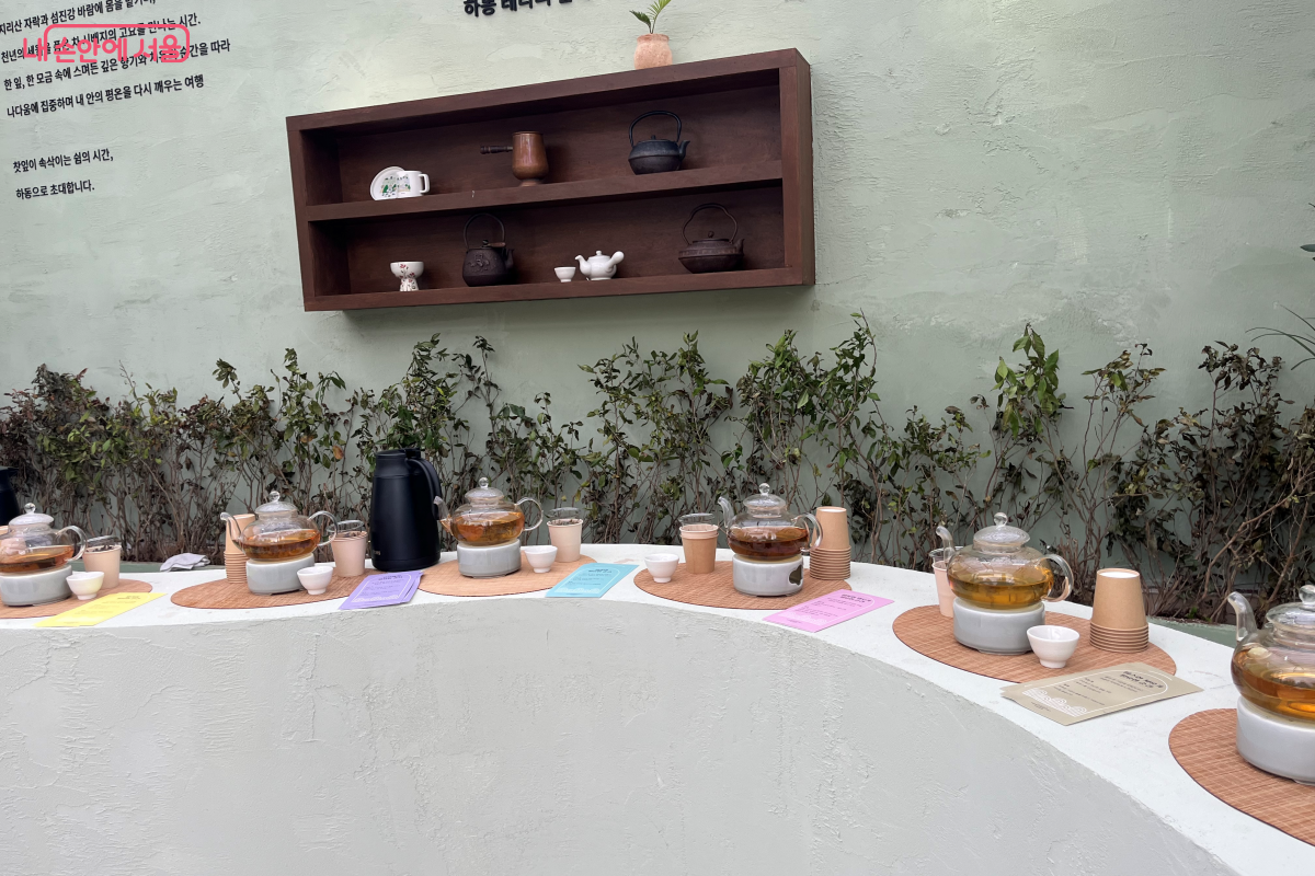 하동 팝업스토어, 여러가지 녹차를 취향에 따라 추천하여 맛 볼수 있다.ⓒ김연희