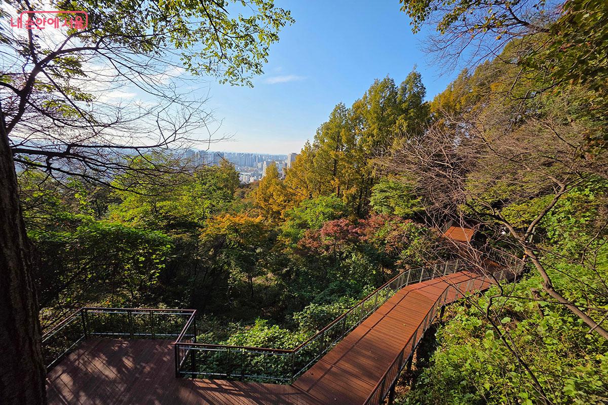 남산 하늘숲길로 이어지는 나무데크와 자연풍경이 아름다운 길 ©이정민