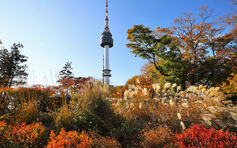 단풍에 반할지니…'남산 가을소풍' 체험행사 신청하세요!