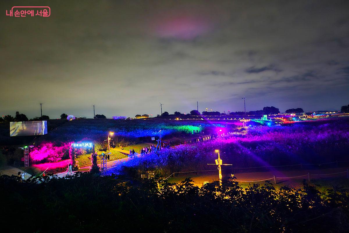 서울억새축제의 야경 풍경 ©이정민