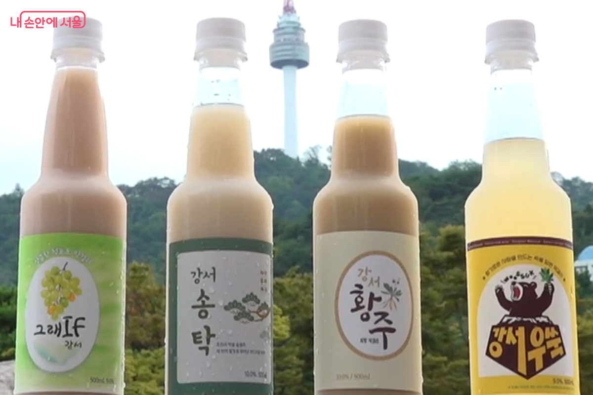 강서50플러스센터가 올해 초부터 기획·제조한 ‘강서막걸리’ 4종 ©박승식