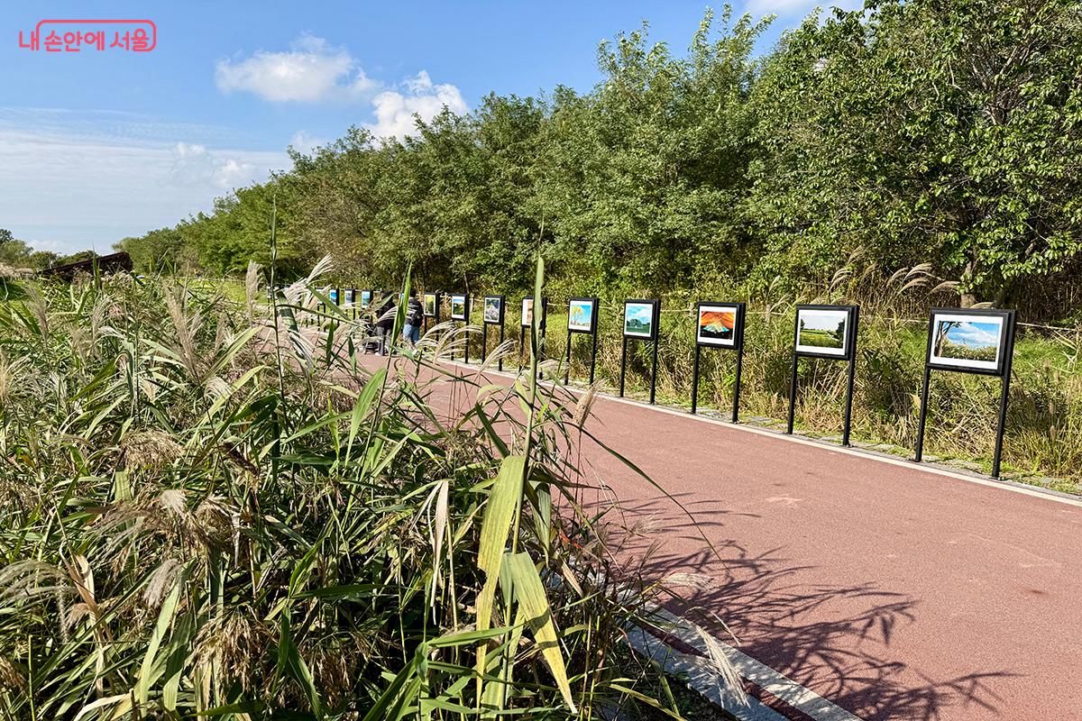 서울의 공원을 기록하는 서부 공원사진사 야외 사진 전시회 ©김미정