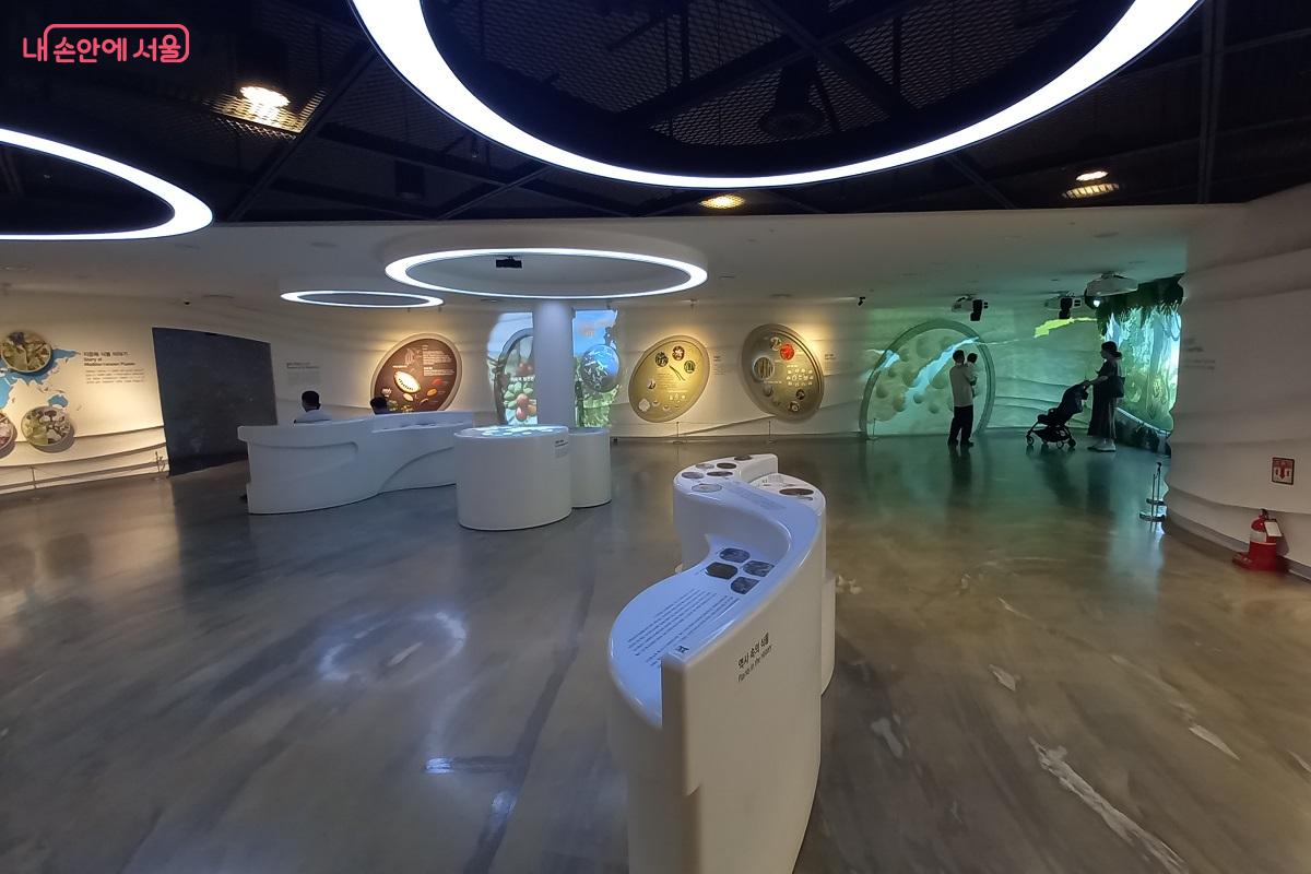 지하 1층에 있는 식물 교육 체험 공간 ©박유진