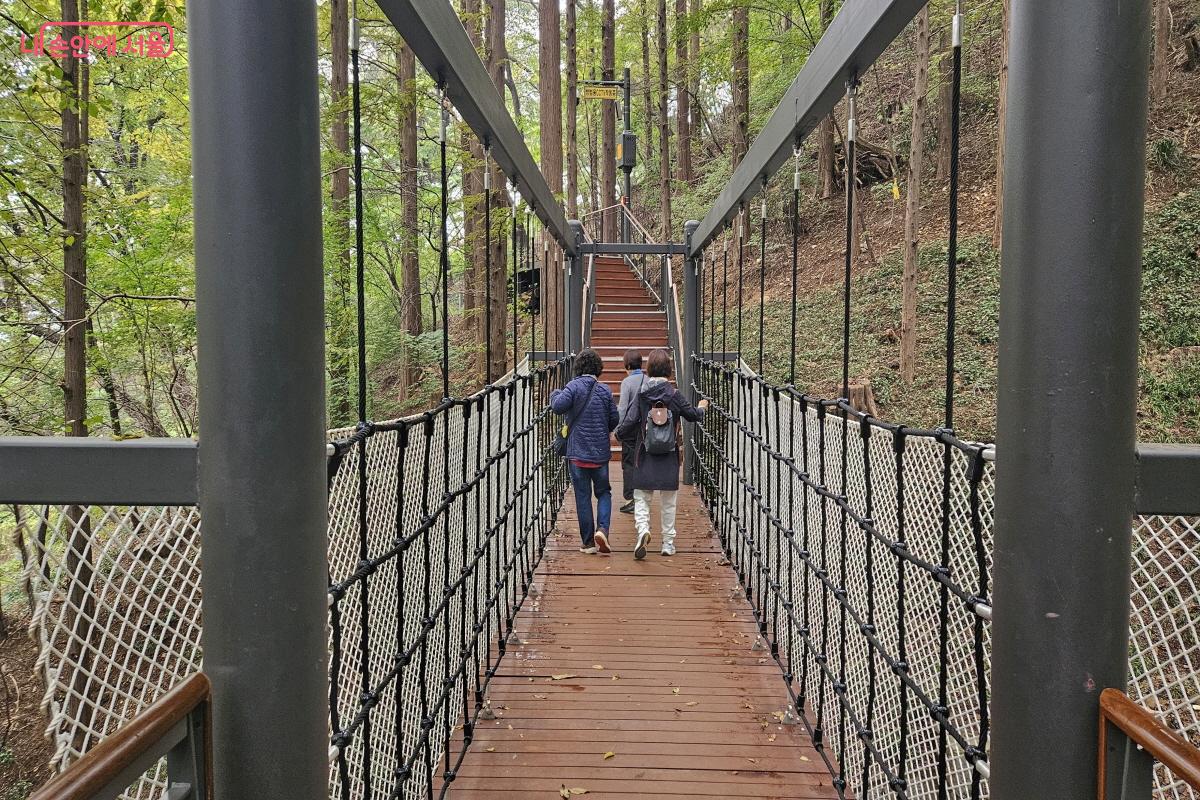 짧아도 즐거움을 주는 모험전망다리 ©이선미