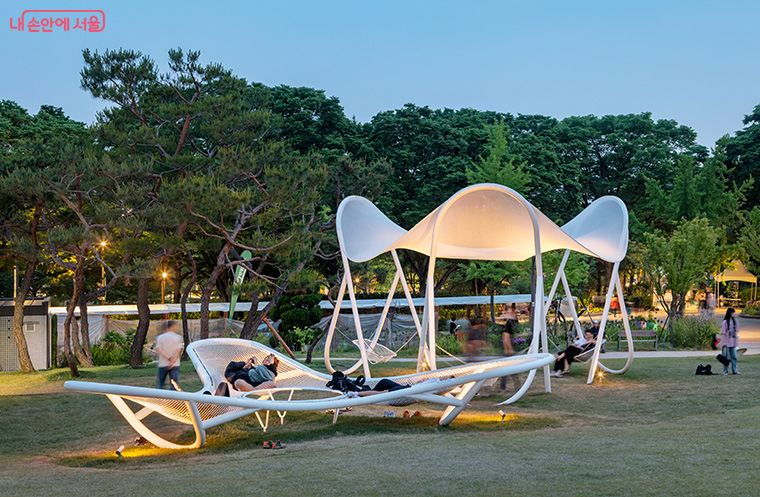 브로콜리 지역정보 관련 사진 5