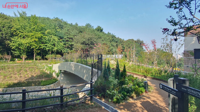 도로가 나면서 생긴 생태적 단절을 해결하기 위해 생태통로가 고안됐다. 사진은 국사봉 녹지연결로