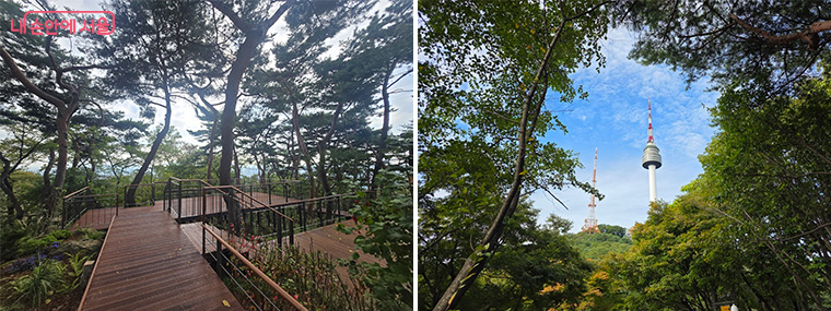 남산 하늘숲길의 매력포인트 ‘소나무쉼터’와 소나무쉼터에서 바라 본 남산타워