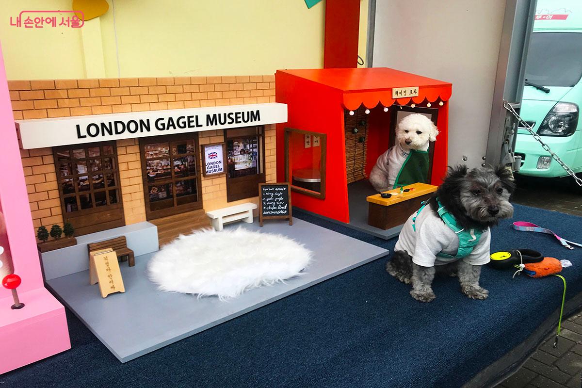 귀여운 강아지 사진을 찍을 수 있는 댕댕 포토트럭 &copy;이정민