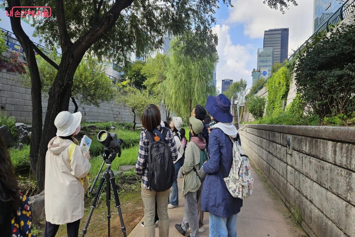 하늘에 날아가는 새가 있는지도 살피고 있다. ©이선미