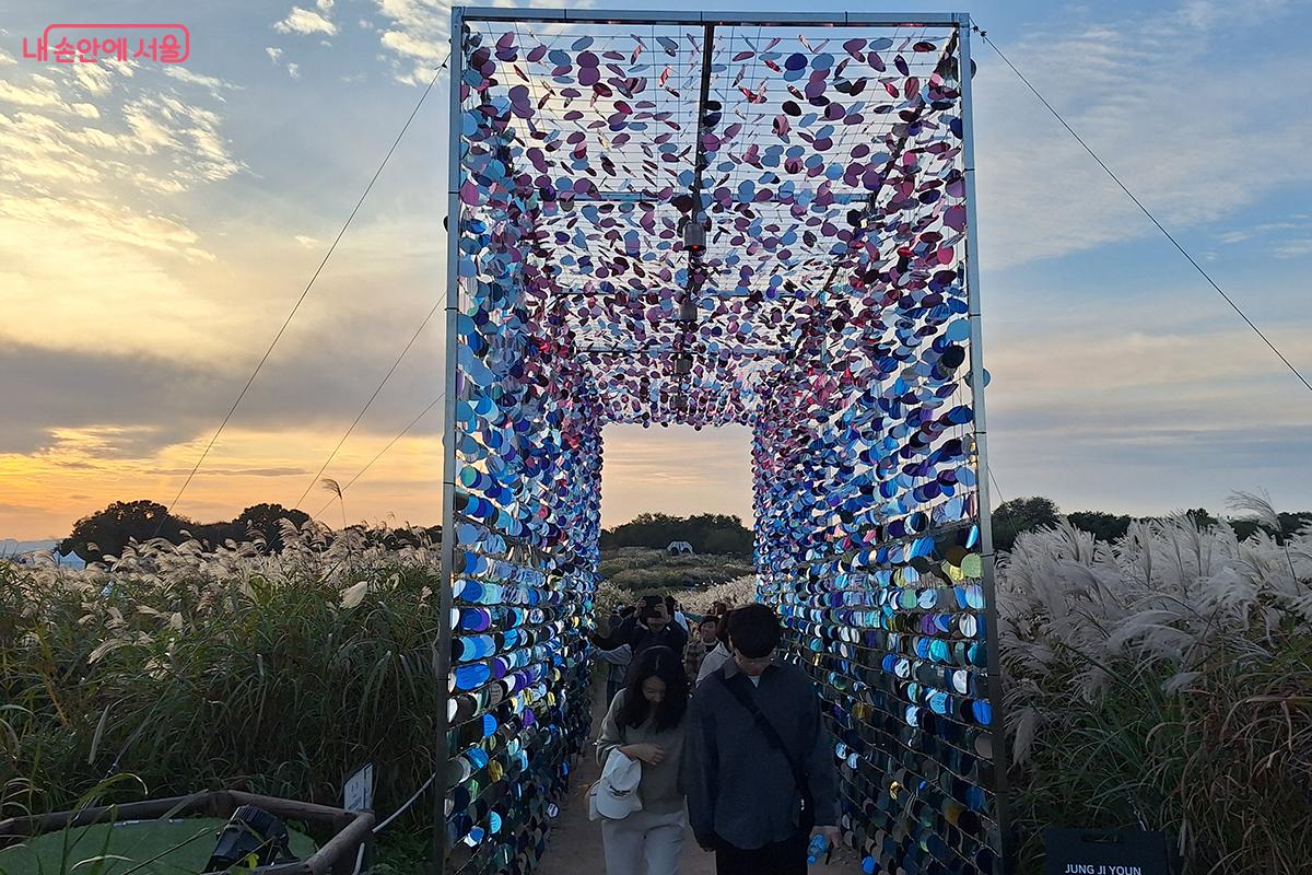 장지연 작가의 빛과 반사를 활용한 참여형 설치미술 작품 ‘생명의 숲’ ©백승훈