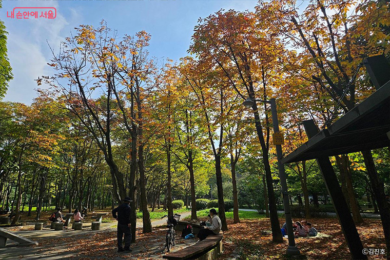 브로콜리 지역정보 관련 사진 8