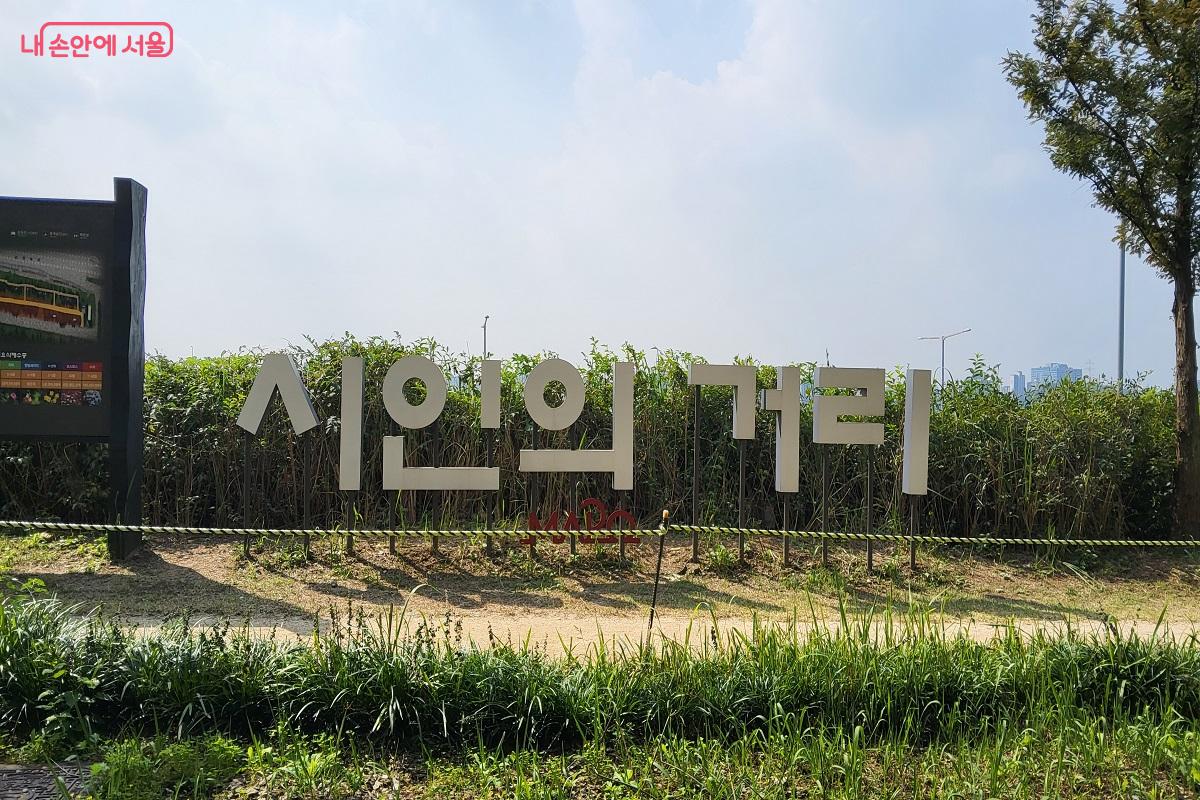 붉게 핀 꽃무릇을 만날 수 있는 '시인의 거리' ©권수진